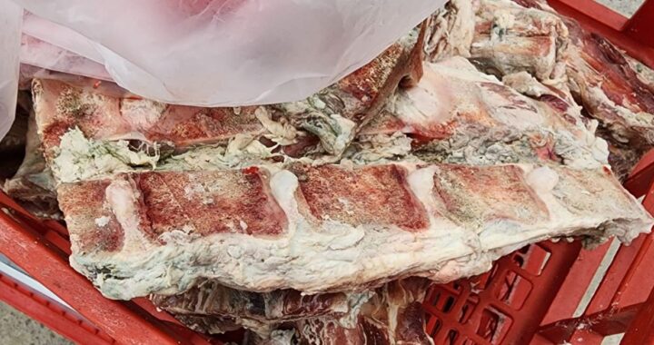 Decomisan más de 1.200 kilos de carne en la comuna de Los Vilos durante controles por Fiestas Patrias