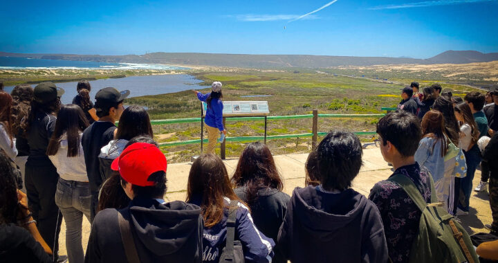 Laguna Conchalí: uno de los humedales clave para la biodiversidad del Choapa