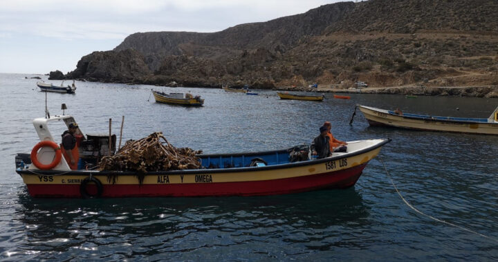 360 pescadores artesanales de la región recibirán cupón del Gobierno para compra de combustible