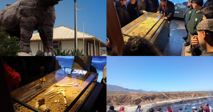 Municipalidad de Los Vilos invita a celebrar el Día de los Patrimonios con actividades culturales, educativas y territoriales
