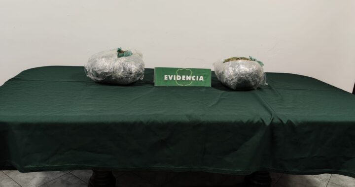 Operativo de Carabineros logra decomiso de marihuana en Canela